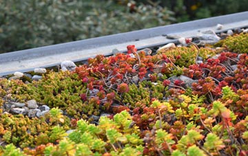 the cost of Long Sight green roof installation