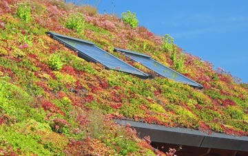 Long Sight living roof systems